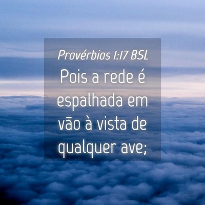 Picture 04 - Provérbios 1:17 BSL - Pois a rede é espalhada em vão à vista de - Bible Verse Picture