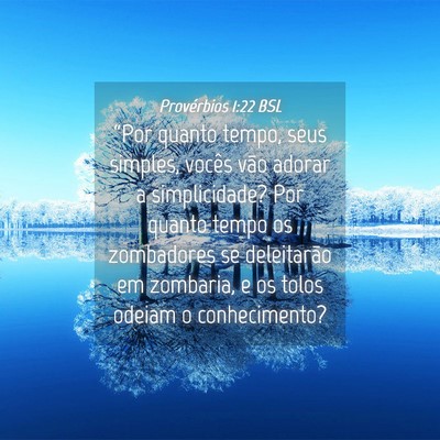 Picture 04 - Provérbios 1:22 BSL - “Por quanto tempo, seus simples, vocês vão - Bible Verse Picture