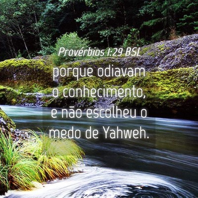 Picture 04 - Provérbios 1:29 BSL - porque odiavam o conhecimento, e não escolheu o - Bible Verse Picture