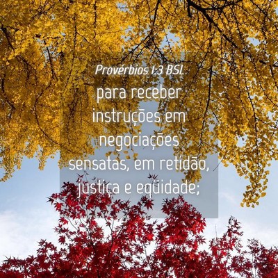 Picture 04 - Provérbios 1:3 BSL - para receber instruções em negociações - Bible Verse Picture