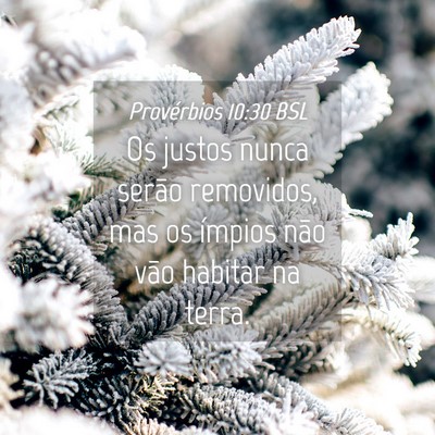 Picture 04 - Provérbios 10:30 BSL - Os justos nunca serão removidos, mas os ímpios - Bible Verse Picture