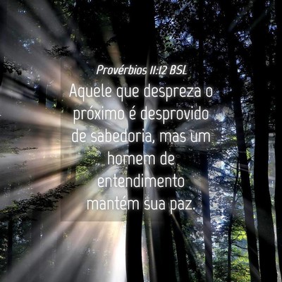 Picture 04 - Provérbios 11:12 BSL - Aquele que despreza o próximo é desprovido de - Bible Verse Picture