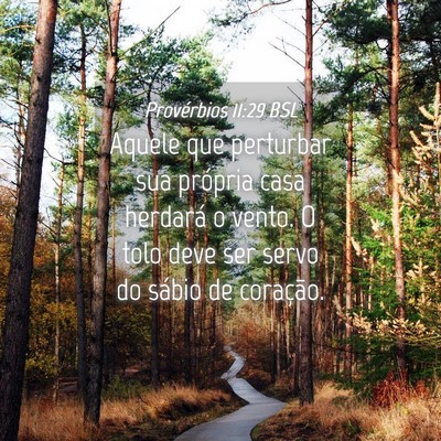 Picture 04 - Provérbios 11:29 BSL - Aquele que perturbar sua própria casa herdará o - Bible Verse Picture