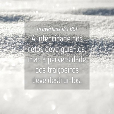 Picture 04 - Provérbios 11:3 BSL - A integridade dos retos deve guiá-los, mas a - Bible Verse Picture