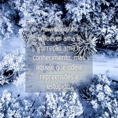 Picture 04 - Provérbios 12:1 BSL - Whoever ama a correção ama o conhecimento, mas - Bible Verse Picture