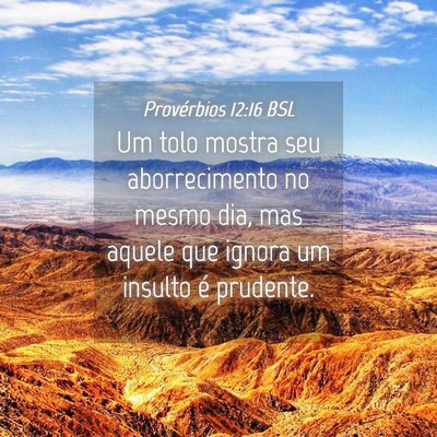 Picture 04 - Provérbios 12:16 BSL - Um tolo mostra seu aborrecimento no mesmo dia, - Bible Verse Picture