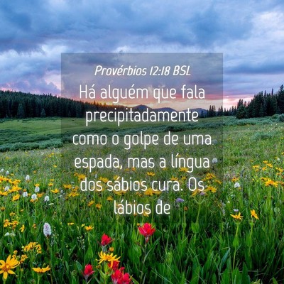 Picture 04 - Provérbios 12:18 BSL - Há alguém que fala precipitadamente como o - Bible Verse Picture