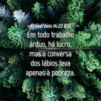 Picture 04 - Provérbios 14:23 BSL - Em todo trabalho árduo, há lucro, mas a - Bible Verse Picture