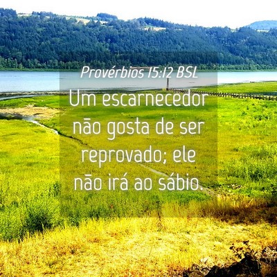 Picture 04 - Provérbios 15:12 BSL - Um escarnecedor não gosta de ser reprovado; ele - Bible Verse Picture
