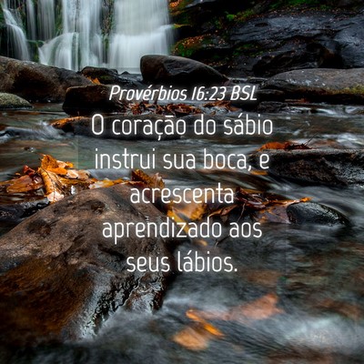 Picture 04 - Provérbios 16:23 BSL - O coração do sábio instrui sua boca, e - Bible Verse Picture