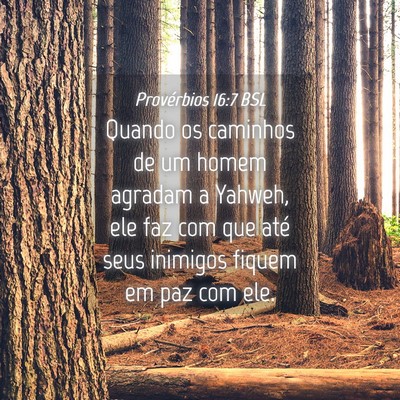 Picture 04 - Provérbios 16:7 BSL - Quando os caminhos de um homem agradam a Yahweh, - Bible Verse Picture