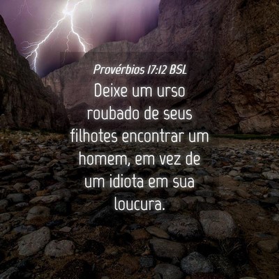 Picture 04 - Provérbios 17:12 BSL - Deixe um urso roubado de seus filhotes encontrar - Bible Verse Picture