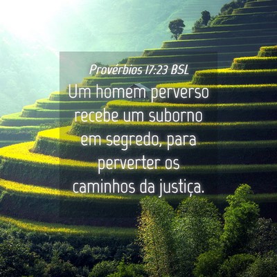 Picture 04 - Provérbios 17:23 BSL - Um homem perverso recebe um suborno em segredo, - Bible Verse Picture