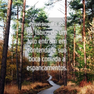 Picture 04 - Provérbios 18:6 BSL - Os lábios de um tolo entram em contenda, e sua - Bible Verse Picture