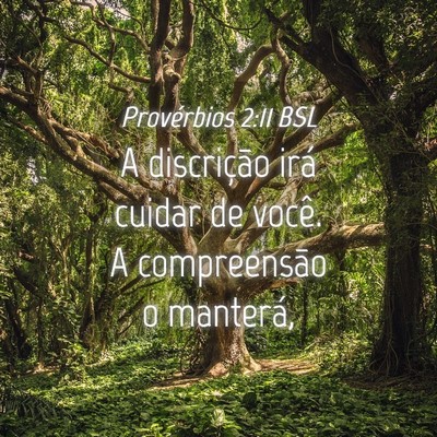 Picture 04 - Provérbios 2:11 BSL - A discrição irá cuidar de você. A - Bible Verse Picture