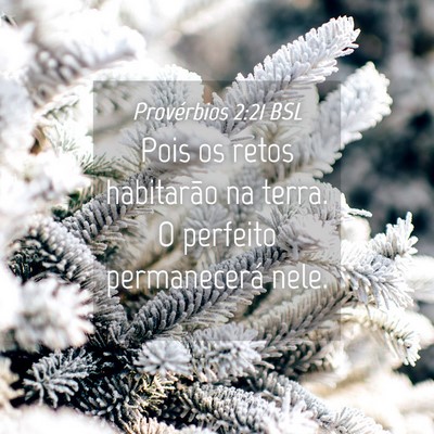 Picture 04 - Provérbios 2:21 BSL - Pois os retos habitarão na terra. O perfeito - Bible Verse Picture