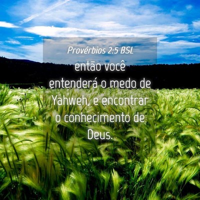 Picture 04 - Provérbios 2:5 BSL - então você entenderá o medo de Yahweh, e - Bible Verse Picture