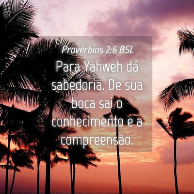 Picture 04 - Provérbios 2:6 BSL - Para Yahweh dá sabedoria. De sua boca sai o - Bible Verse Picture