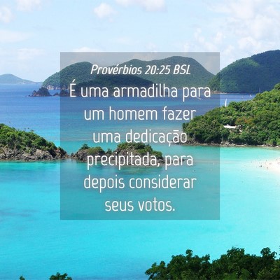 Picture 04 - Provérbios 20:25 BSL - É uma armadilha para um homem fazer uma - Bible Verse Picture