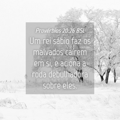 Picture 04 - Provérbios 20:26 BSL - Um rei sábio faz os malvados caírem em si, e - Bible Verse Picture