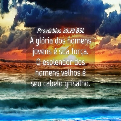 Picture 04 - Provérbios 20:29 BSL - A glória dos homens jovens é sua força. O - Bible Verse Picture