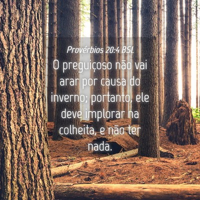 Picture 04 - Provérbios 20:4 BSL - O preguiçoso não vai arar por causa do inverno; - Bible Verse Picture