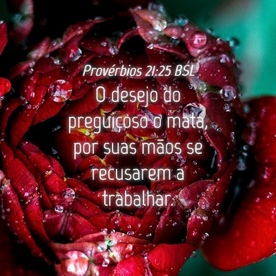 Picture 04 - Provérbios 21:25 BSL - O desejo do preguiçoso o mata, por suas mãos se - Bible Verse Picture
