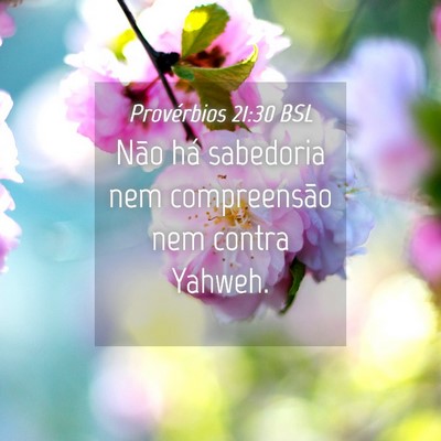 Picture 04 - Provérbios 21:30 BSL - Não há sabedoria nem compreensão nem contra - Bible Verse Picture