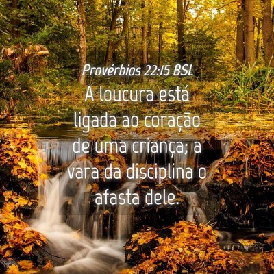 Picture 04 - Provérbios 22:15 BSL - A loucura está ligada ao coração de uma - Bible Verse Picture