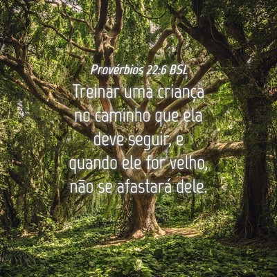 Picture 04 - Provérbios 22:6 BSL - Treinar uma criança no caminho que ela deve - Bible Verse Picture