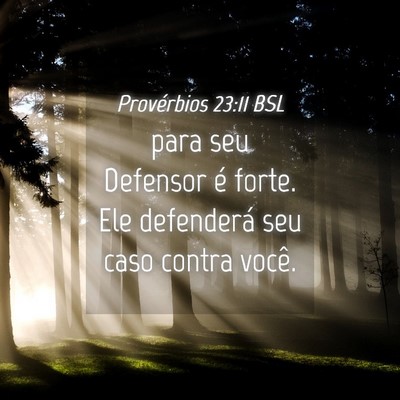 Picture 04 - Provérbios 23:11 BSL - para seu Defensor é forte. Ele defenderá seu - Bible Verse Picture