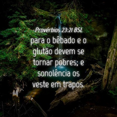 Picture 04 - Provérbios 23:21 BSL - para o bêbado e o glutão devem se tornar - Bible Verse Picture