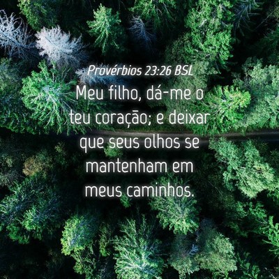 Picture 04 - Provérbios 23:26 BSL - Meu filho, dá-me o teu coração; e deixar que - Bible Verse Picture