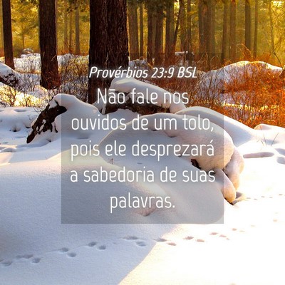 Picture 04 - Provérbios 23:9 BSL - Não fale nos ouvidos de um tolo, pois ele - Bible Verse Picture