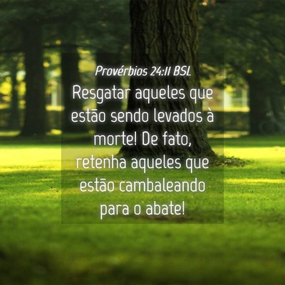 Picture 04 - Provérbios 24:11 BSL - Resgatar aqueles que estão sendo levados à - Bible Verse Picture