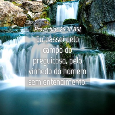 Picture 04 - Provérbios 24:30 BSL - Eu passei pelo campo do preguiçoso, pelo vinhedo - Bible Verse Picture