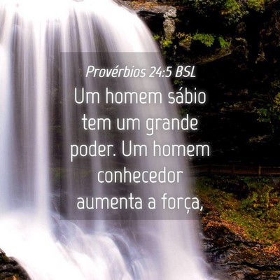 Picture 04 - Provérbios 24:5 BSL - Um homem sábio tem um grande poder. Um homem - Bible Verse Picture