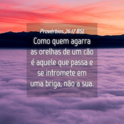 Picture 04 - Provérbios 26:17 BSL - Como quem agarra as orelhas de um cão é aquele - Bible Verse Picture