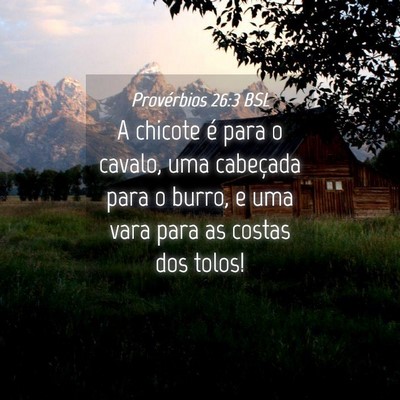 Picture 04 - Provérbios 26:3 BSL - A chicote é para o cavalo, uma cabeçada para o - Bible Verse Picture
