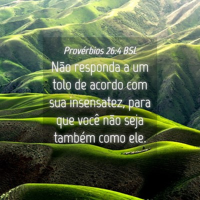 Picture 04 - Provérbios 26:4 BSL - Não responda a um tolo de acordo com sua - Bible Verse Picture
