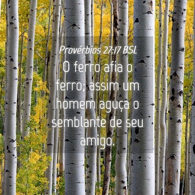 Picture 04 - Provérbios 27:17 BSL - O ferro afia o ferro; assim um homem aguça o - Bible Verse Picture
