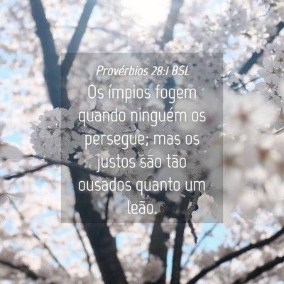 Picture 04 - Provérbios 28:1 BSL - Os ímpios fogem quando ninguém os persegue; mas - Bible Verse Picture