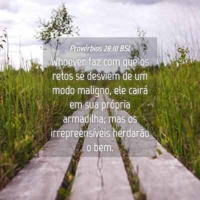 Picture 04 - Provérbios 28:10 BSL - Whoever faz com que os retos se desviem de um - Bible Verse Picture
