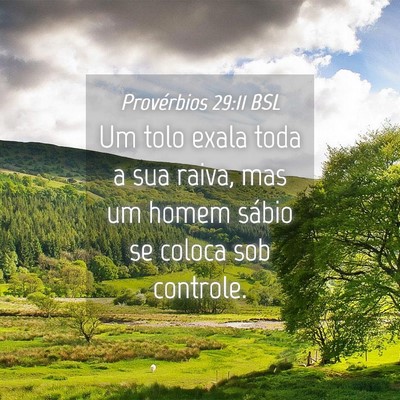 Picture 04 - Provérbios 29:11 BSL - Um tolo exala toda a sua raiva, mas um homem - Bible Verse Picture