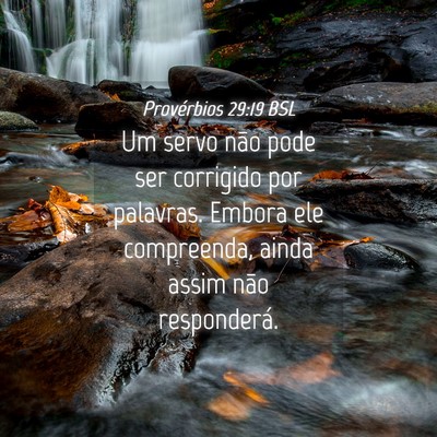 Picture 04 - Provérbios 29:19 BSL - Um servo não pode ser corrigido por palavras. - Bible Verse Picture