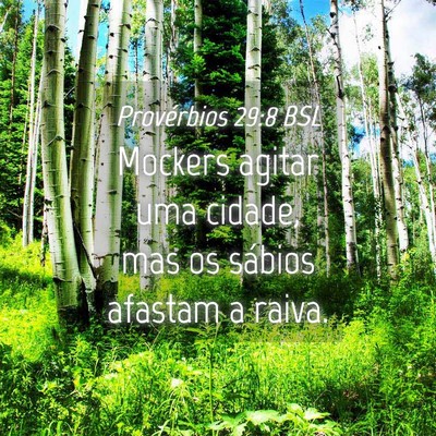Picture 04 - Provérbios 29:8 BSL - Mockers agitar uma cidade, mas os sábios afastam - Bible Verse Picture
