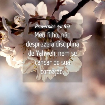 Picture 04 - Provérbios 3:11 BSL - Meu filho, não despreze a disciplina de Yahweh, - Bible Verse Picture