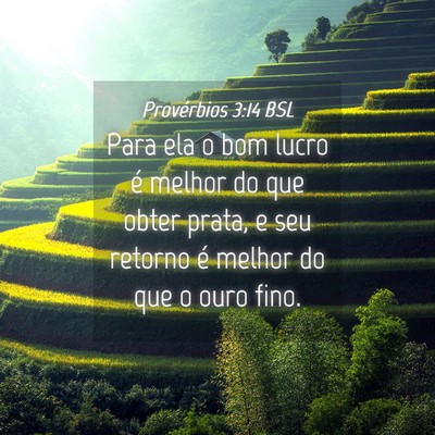 Picture 04 - Provérbios 3:14 BSL - Para ela o bom lucro é melhor do que obter - Bible Verse Picture