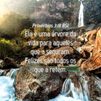 Picture 04 - Provérbios 3:18 BSL - Ela é uma árvore da vida para aqueles que a - Bible Verse Picture