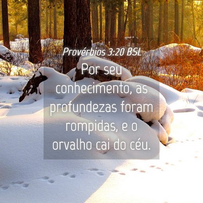Picture 04 - Provérbios 3:20 BSL - Por seu conhecimento, as profundezas foram - Bible Verse Picture